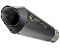 BMW S1000RR 2019-2024 EVO-RC slip-on exhaust Pro-Race exhaust systems